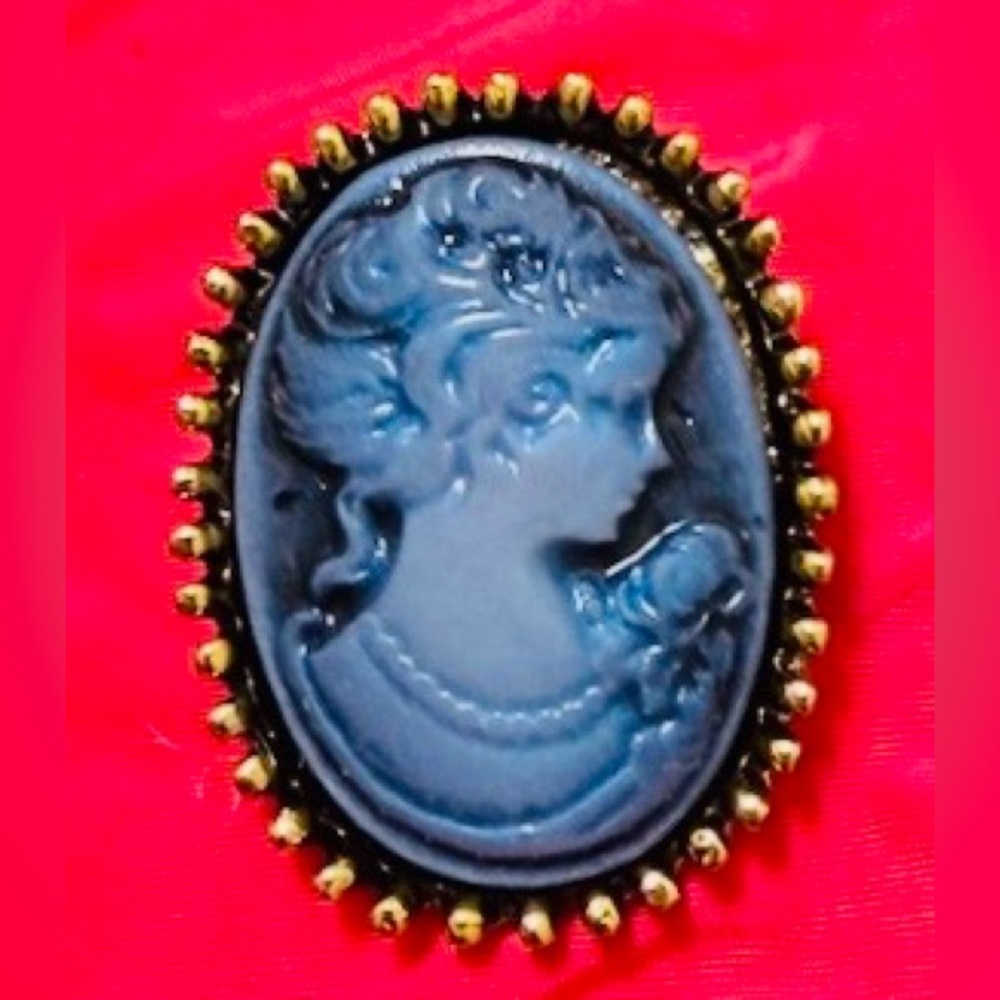 Elegant Blue Cameo Brooch